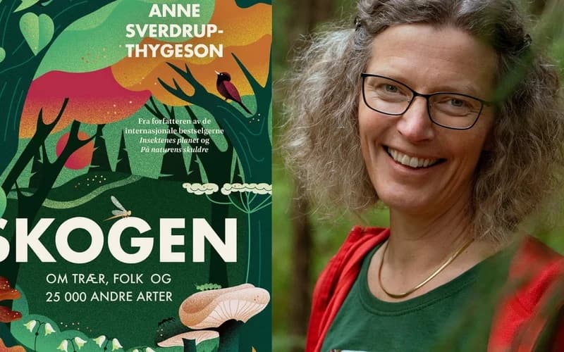 Forsidebilde på boka Skogen samt ett bilde av Anne Sverddrup-Thygeson