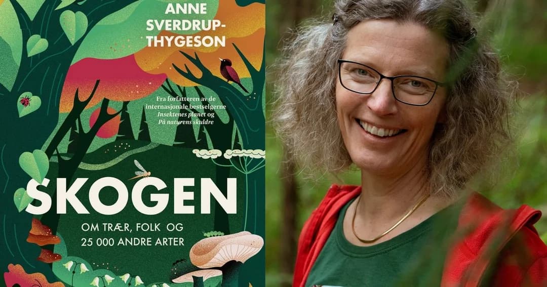 Forsidebilde på boka Skogen samt ett bilde av Anne Sverddrup-Thygeson